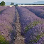 Holiday home Bulle De Paix En Provence