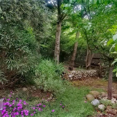 Bulle De Paix En Provence *