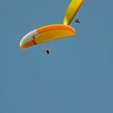 Bulle De Paix En Provence