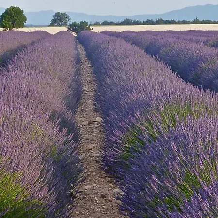 Дом отдыха Bulle De Paix En Provence