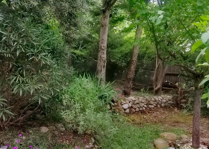 Bulle De Paix En Provence *