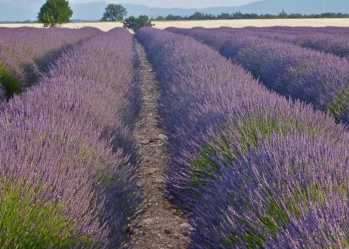 Casa vacanze Bulle De Paix En Provence